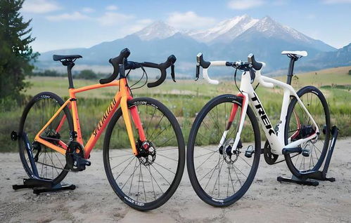 2025自行車(chē)行業(yè)報(bào)告評(píng)測(cè) 閃電崔克梅花捷安特喜德盛品牌檔次