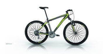 自行車貼花設(shè)計